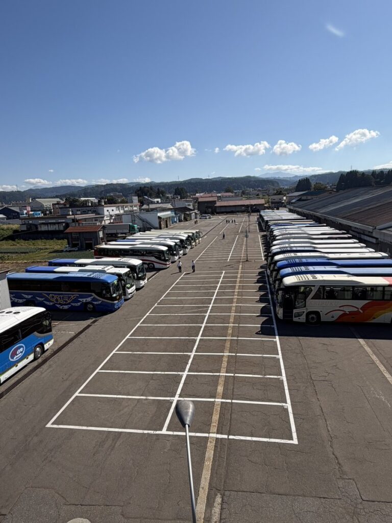 朝日に包まれた市場駐車場に観光バスが到着した様子